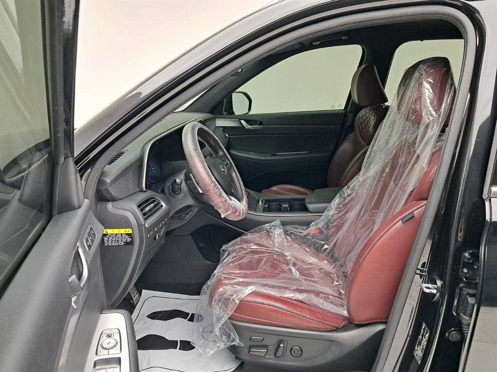 Hyundai Palisade — photo 11