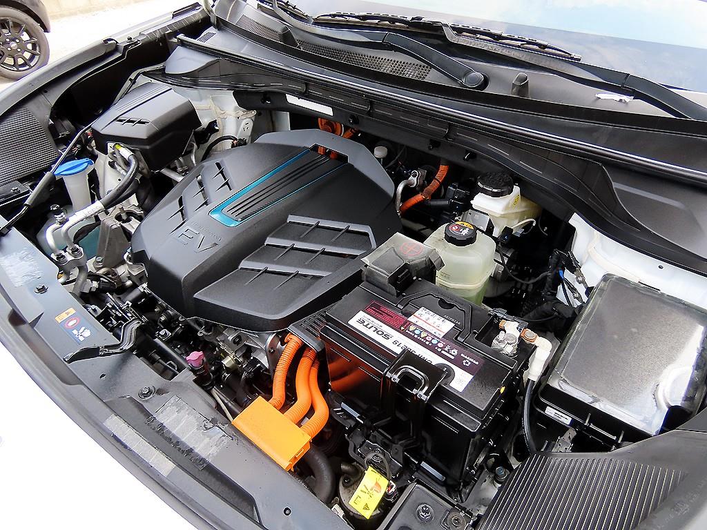 Kia Niro — photo 19