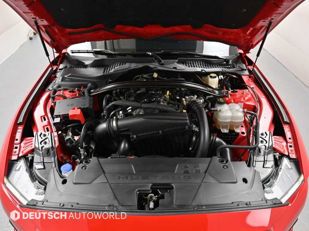 Ford Mustang — photo 06