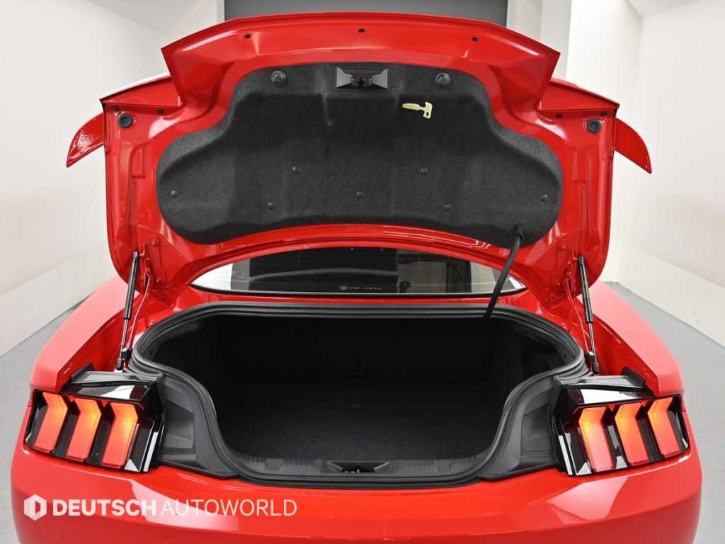 Ford Mustang — photo 19