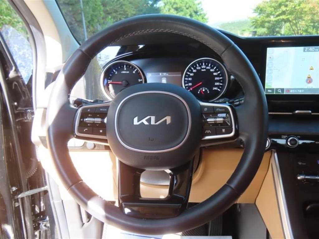 Kia Carnival — photo 15