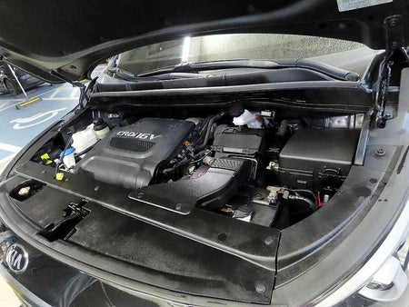 Kia Carnival — photo 19