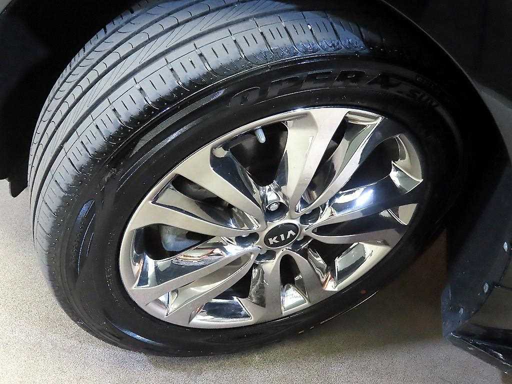 Kia Carnival — photo 20
