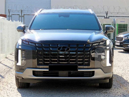 Hyundai Palisade — photo 01