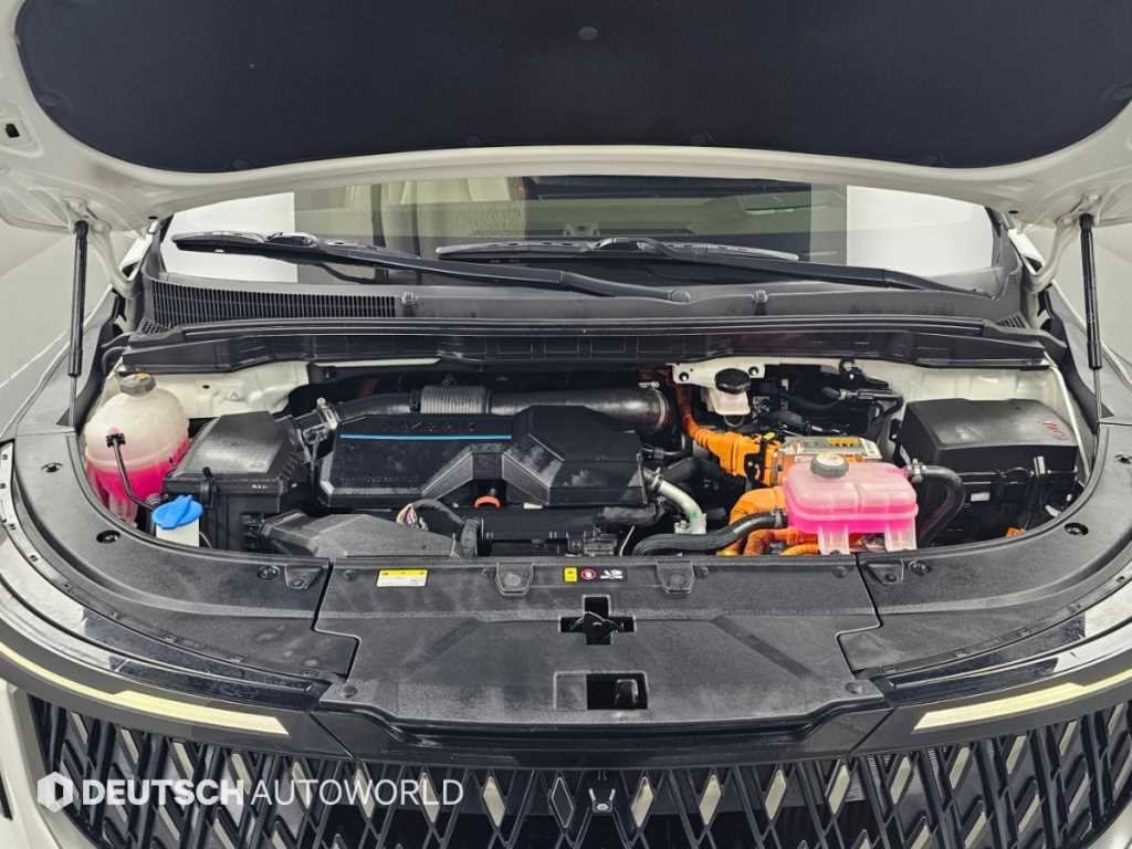 Kia Carnival — photo 06