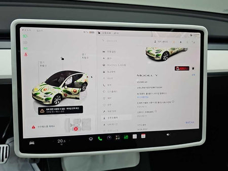 Tesla Model Y — photo 18