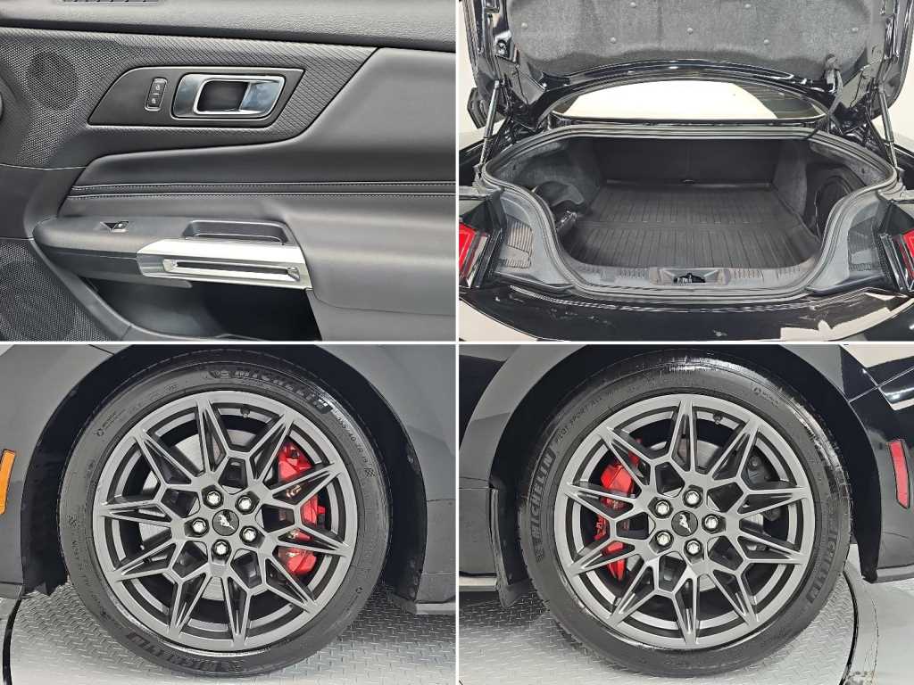 Ford Mustang — photo 18