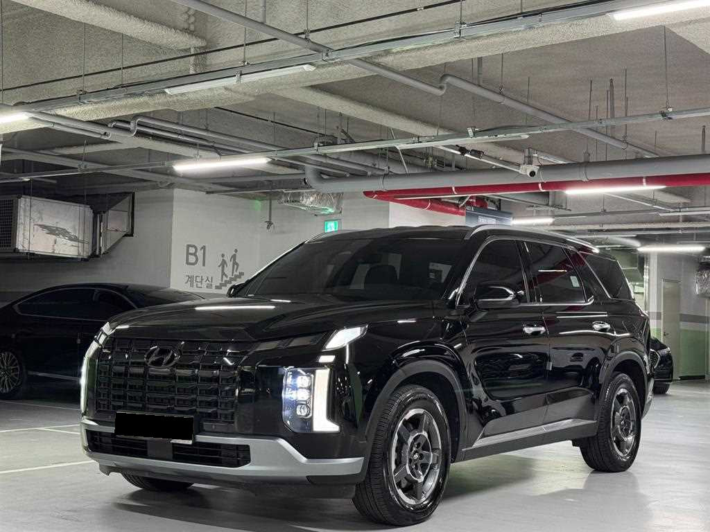 Hyundai Palisade — photo 01