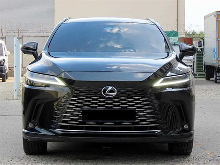 Lexus RX — photo 01