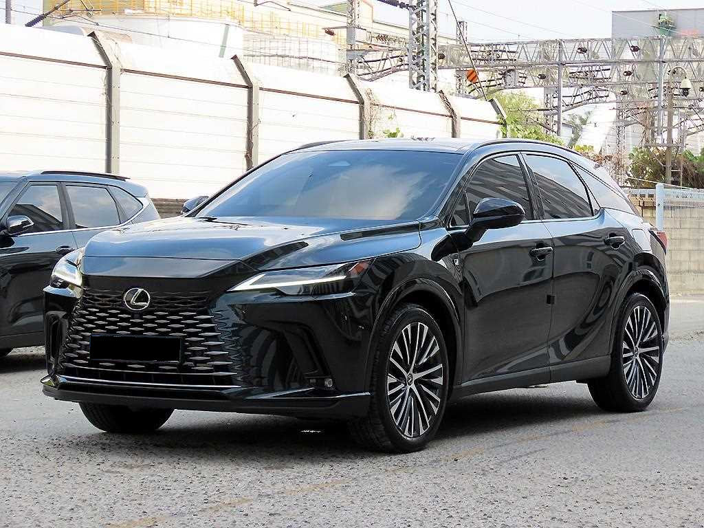 Lexus RX — photo 02