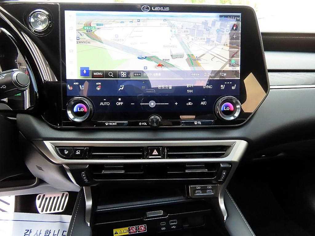 Lexus RX — photo 13