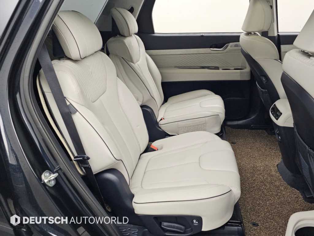 Hyundai Palisade — photo 12