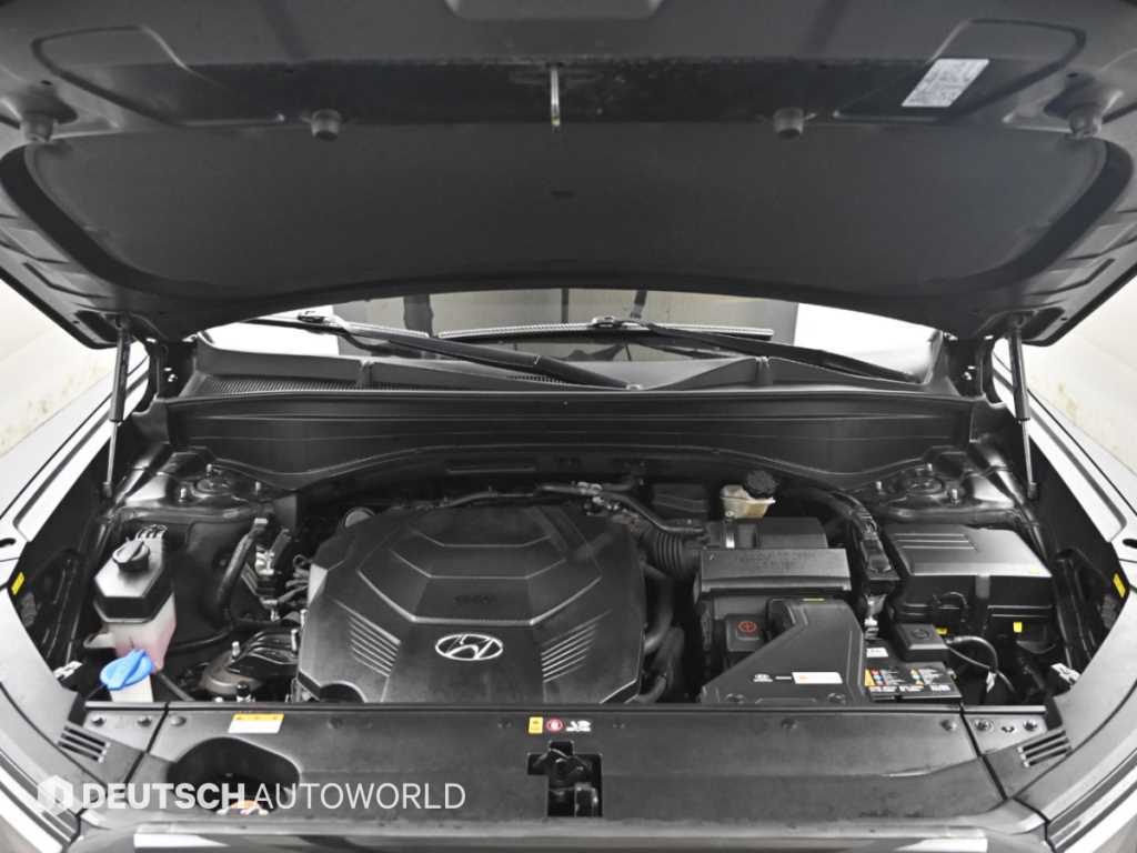 Hyundai Palisade — photo 06