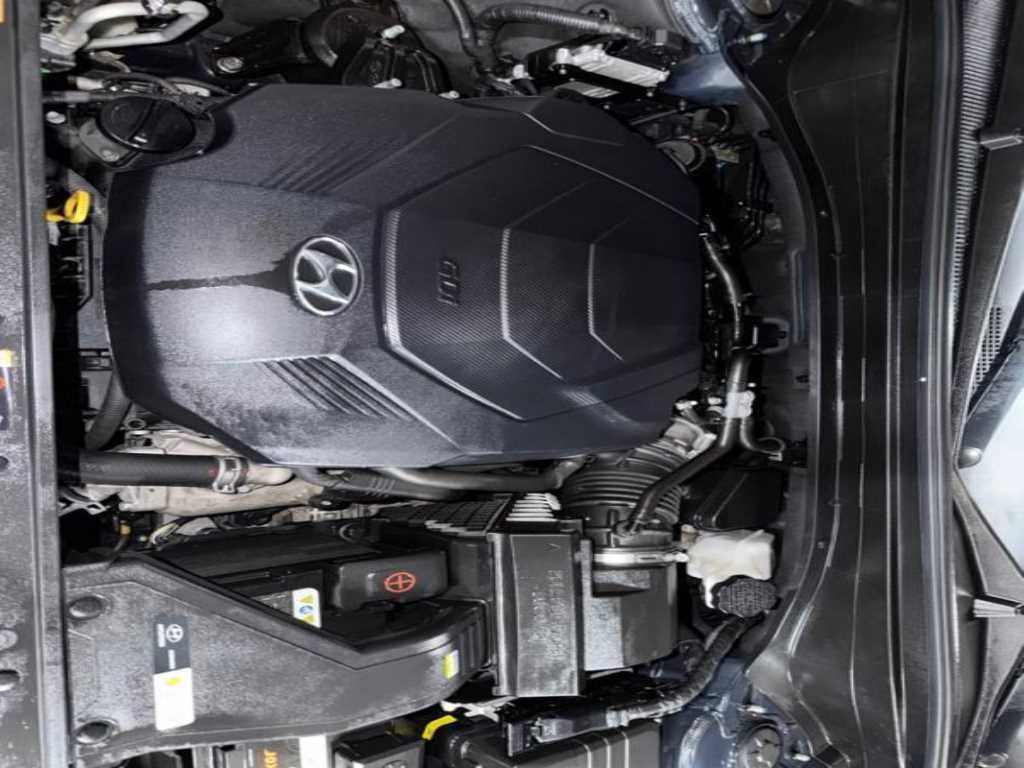 Hyundai Palisade — photo 19