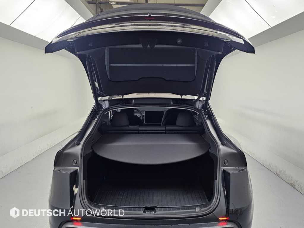 Tesla Model Y — photo 19