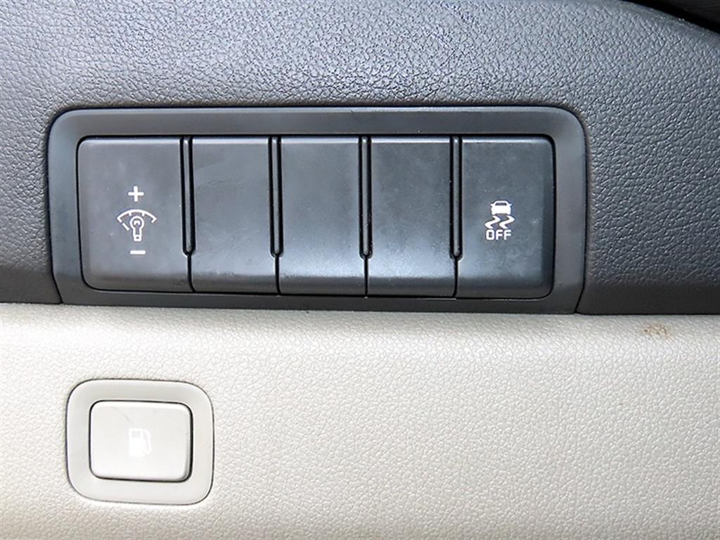 Kia Carnival — photo 14