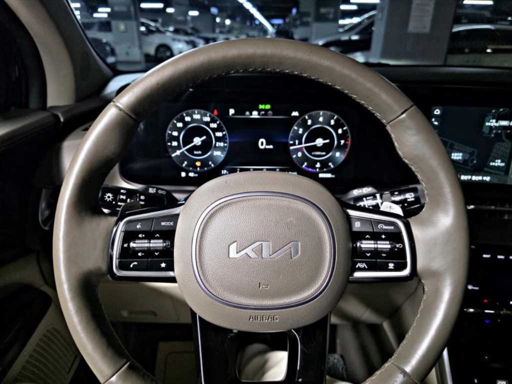 Kia Carnival — photo 14