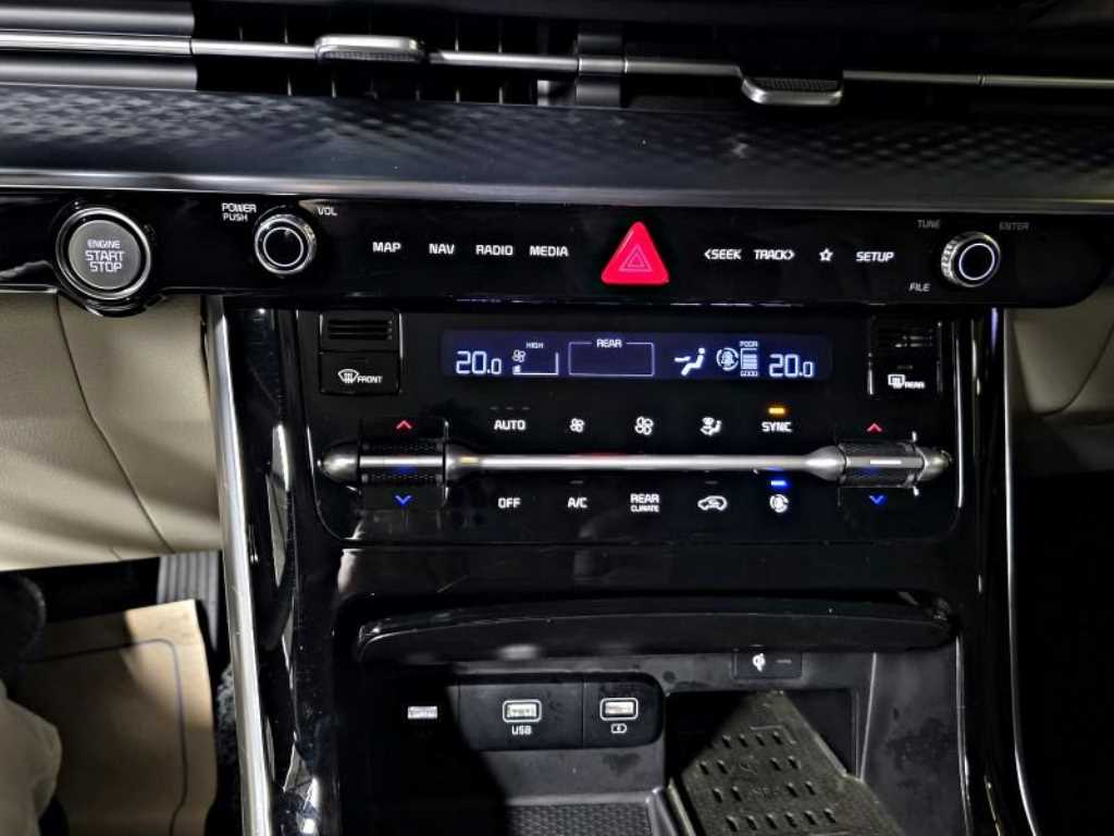 Kia Carnival — photo 17