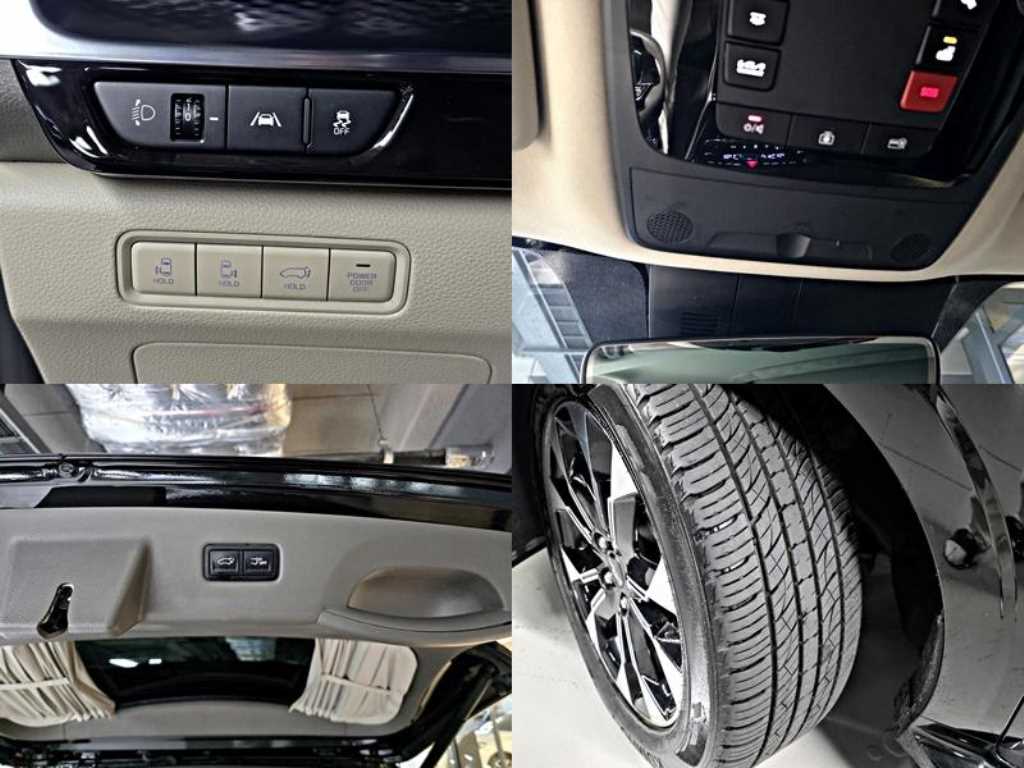 Kia Carnival — photo 20