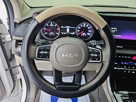 Kia Carnival — photo 09