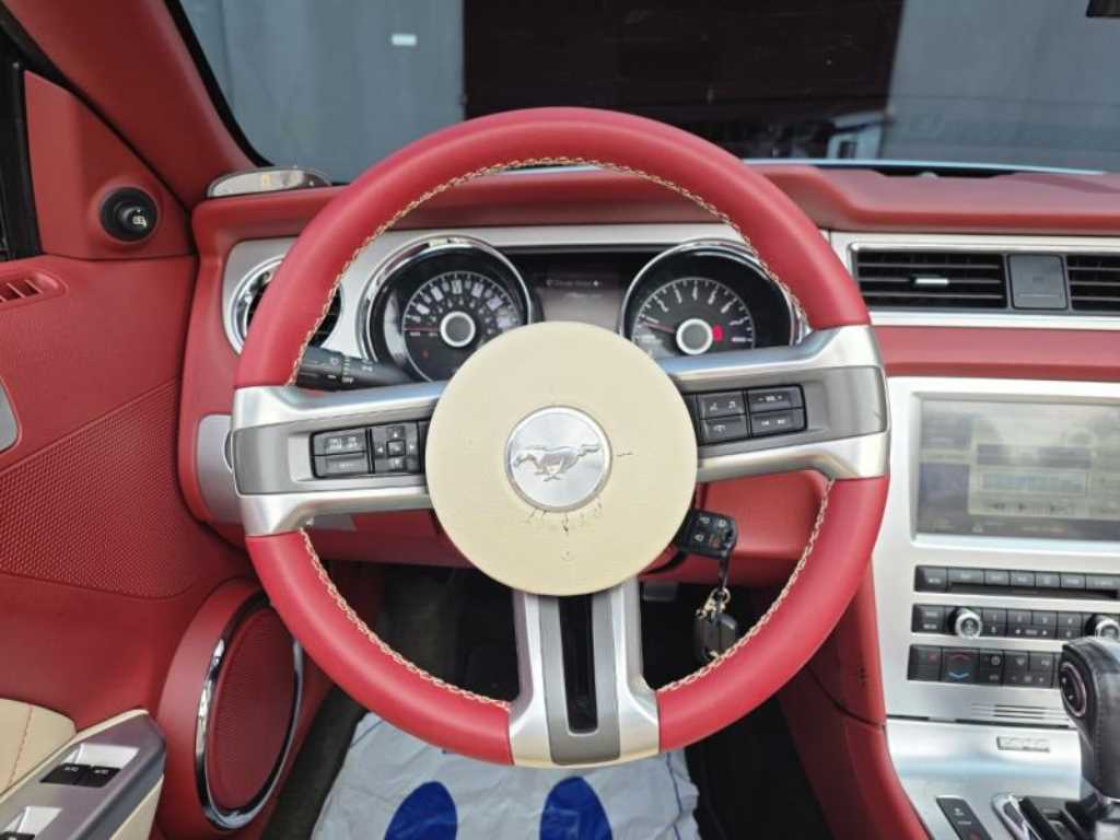 Ford Mustang — photo 07