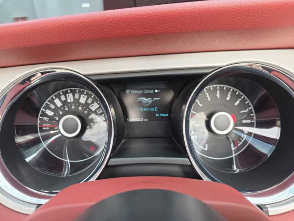 Ford Mustang — photo 08