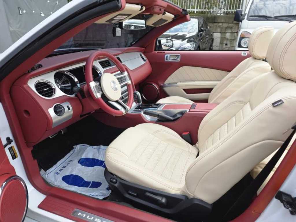 Ford Mustang — photo 09