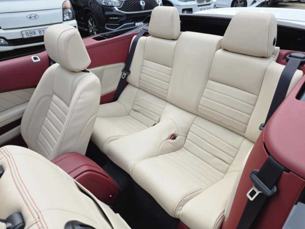 Ford Mustang — photo 17