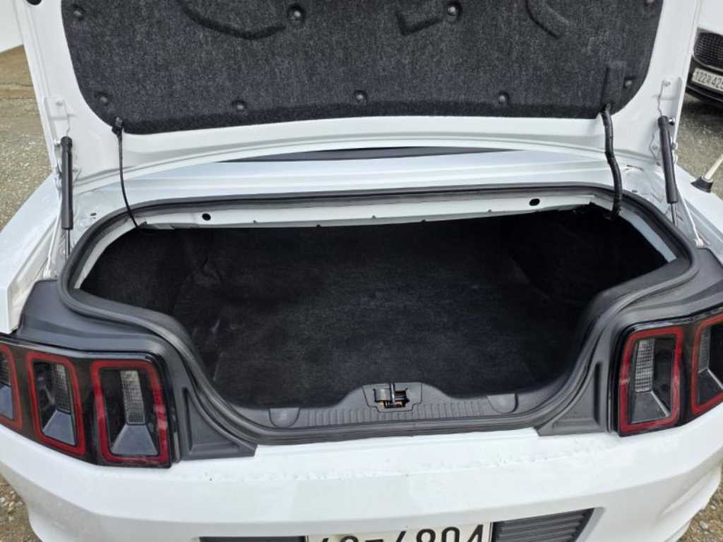 Ford Mustang — photo 18