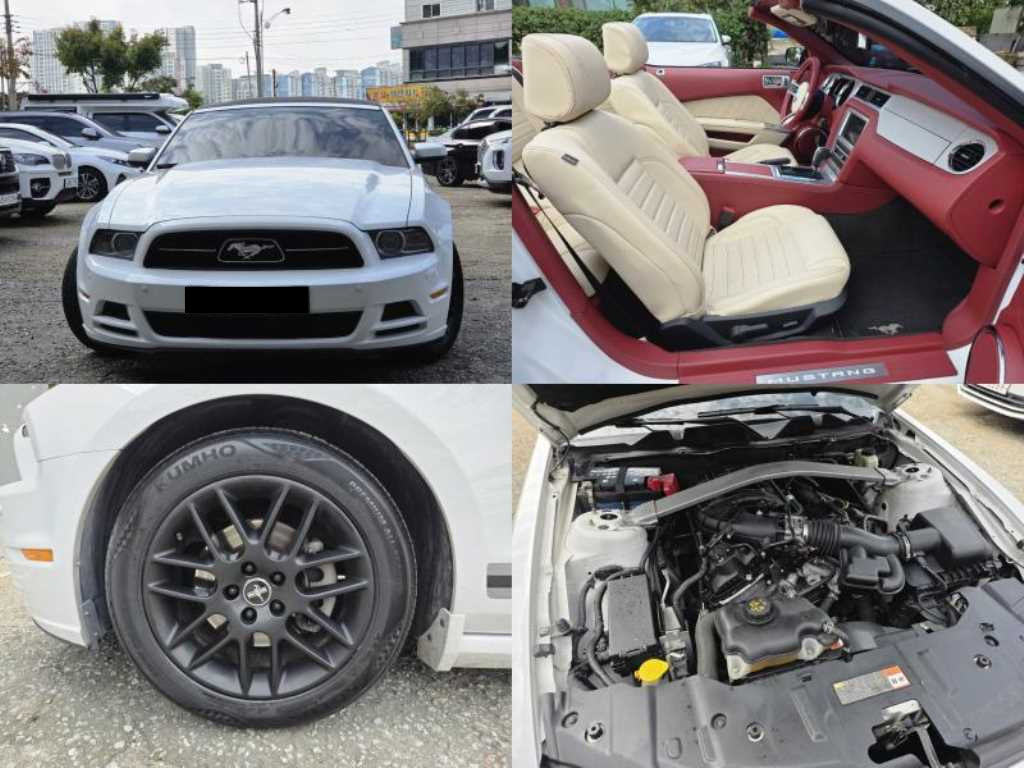 Ford Mustang — photo 20