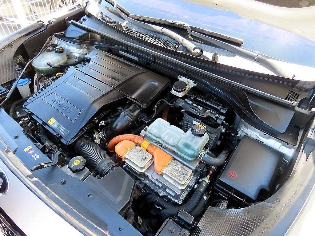 Kia Niro — photo 19