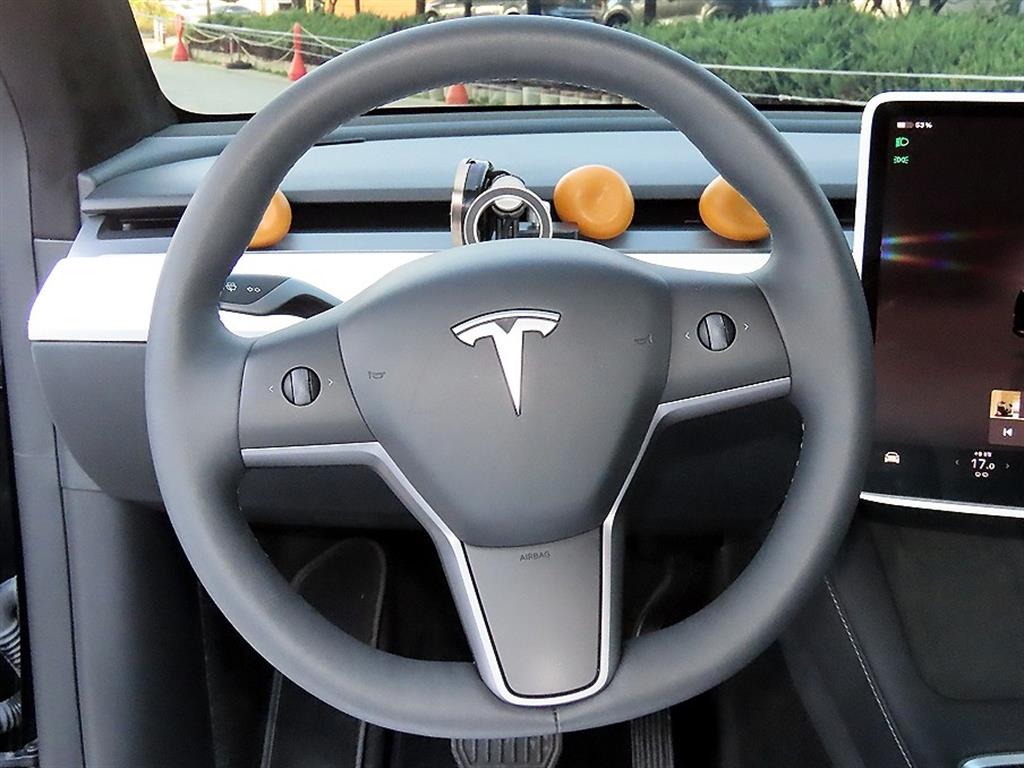 Tesla Model Y — photo 08