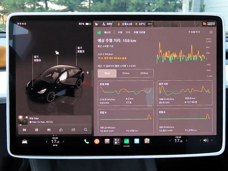 Tesla Model Y — photo 13