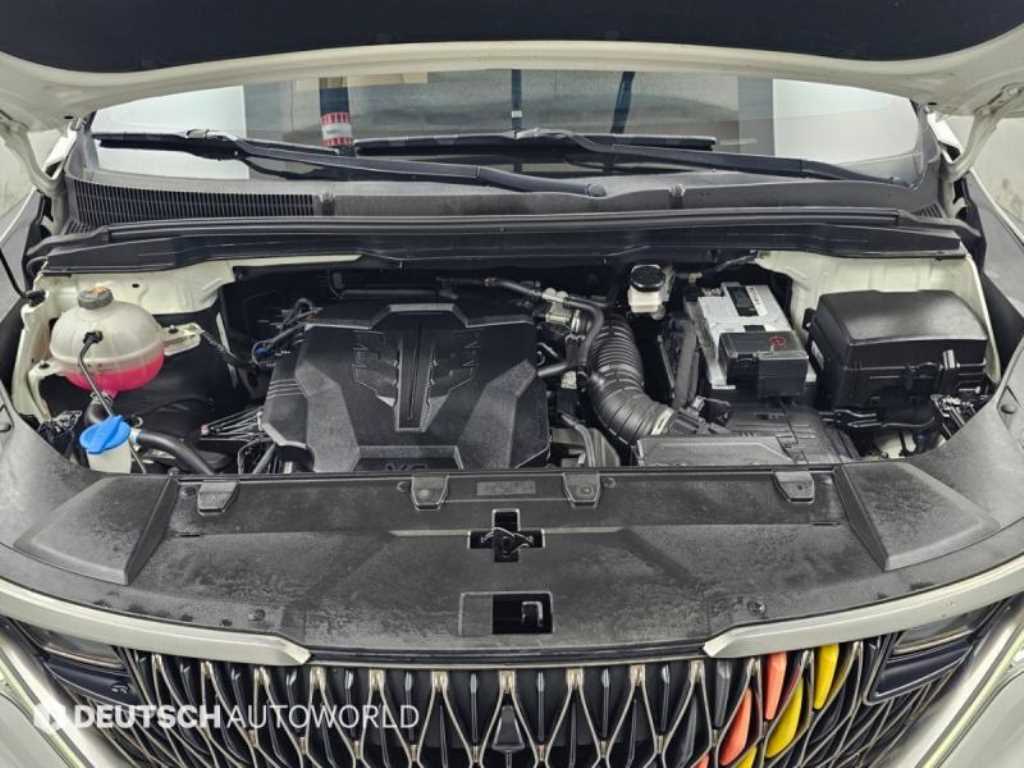 Kia Carnival — photo 06