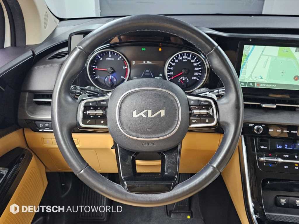 Kia Carnival — photo 13
