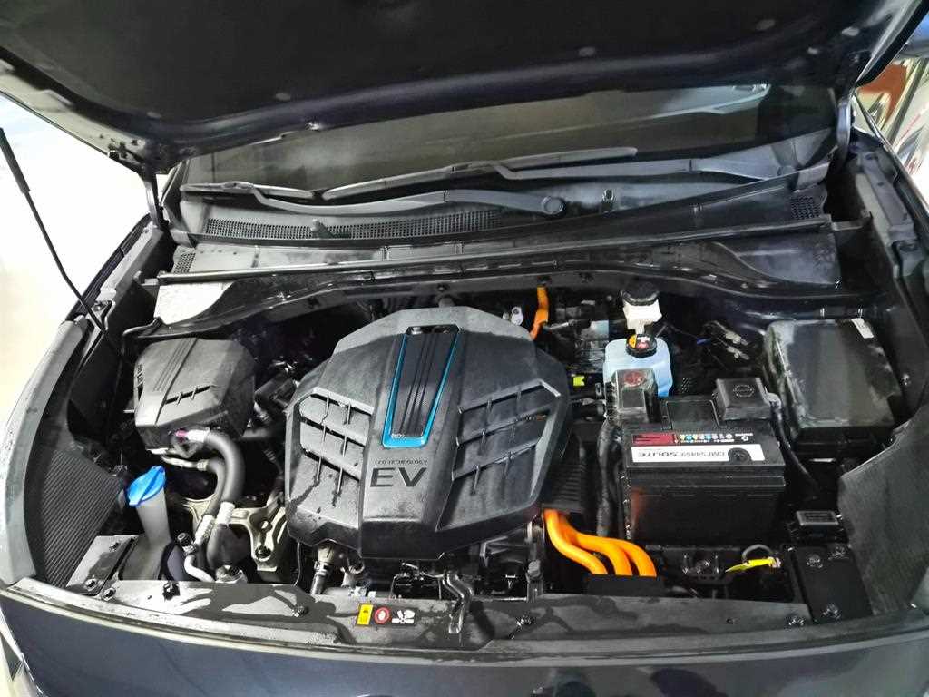 Kia Niro — photo 19