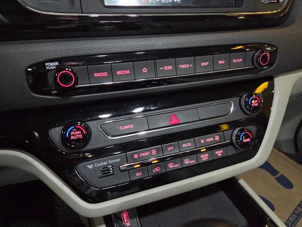 Kia Carnival — photo 13
