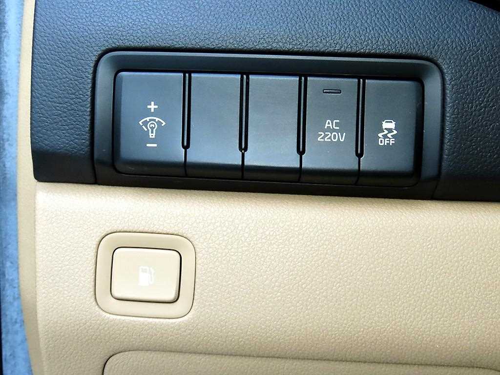 Kia Carnival — photo 13