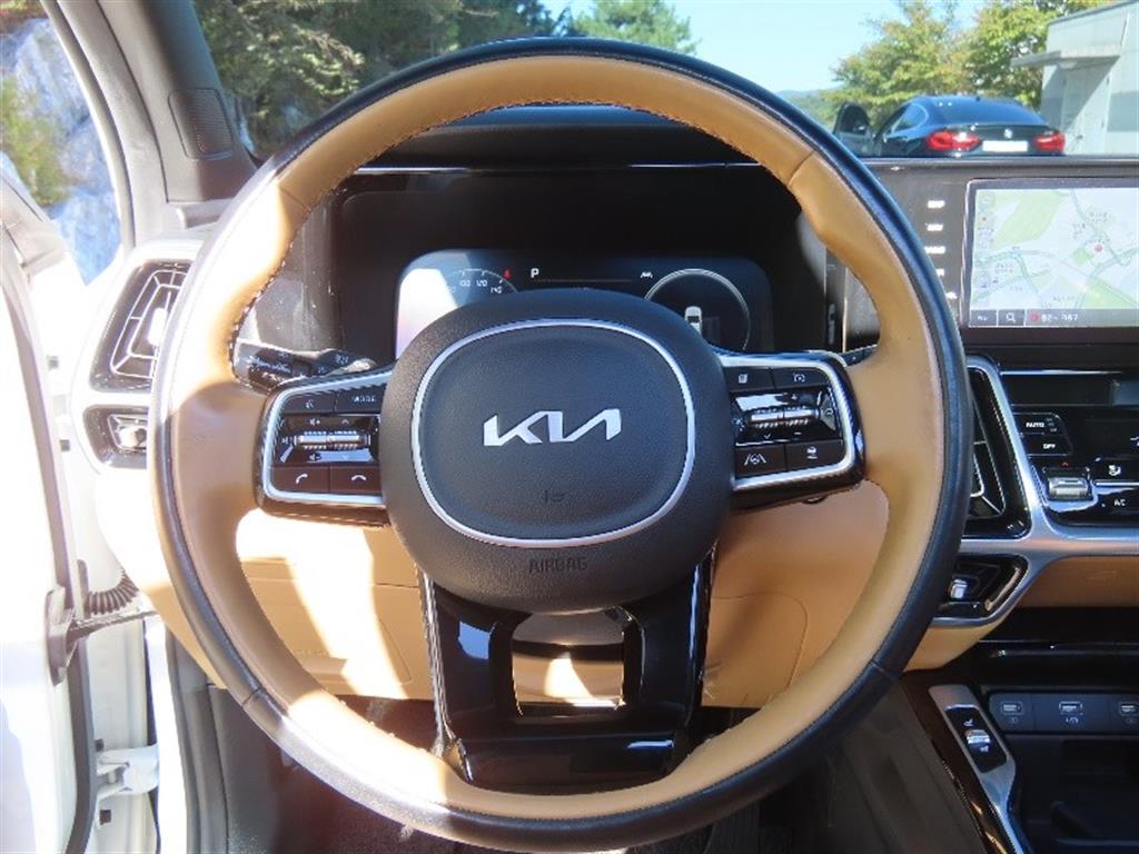 Kia Sorento — photo 14