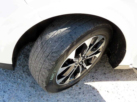 Kia Carnival — photo 20