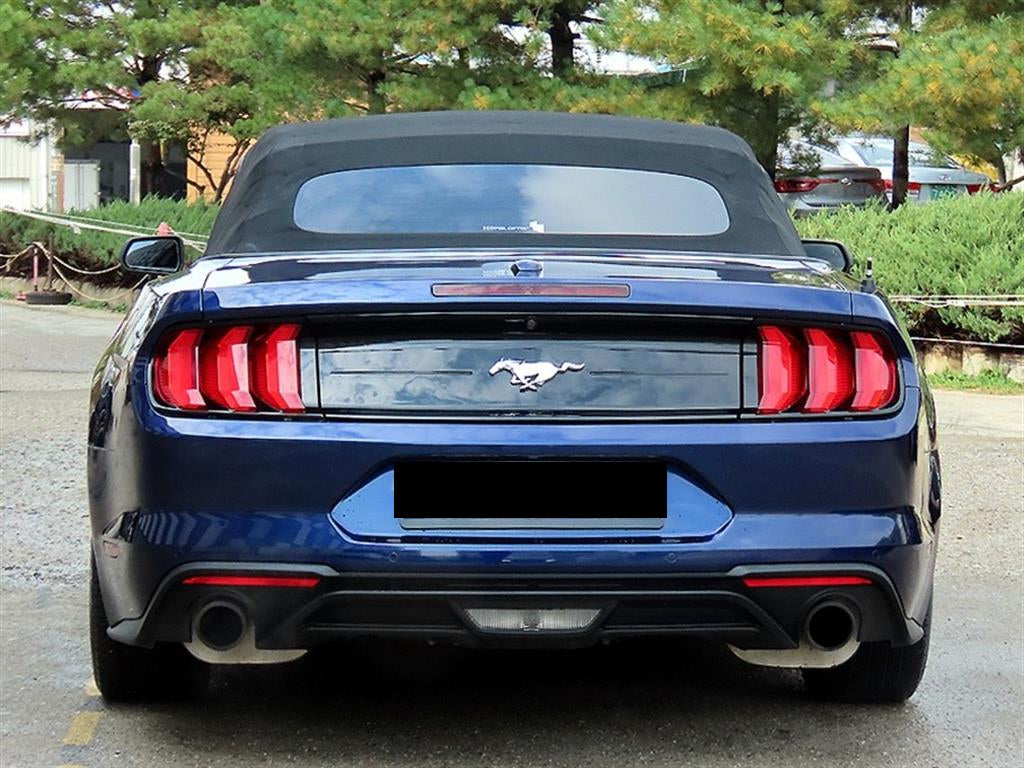 Ford Mustang — photo 04