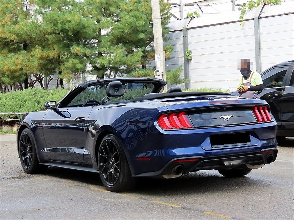 Ford Mustang — photo 07