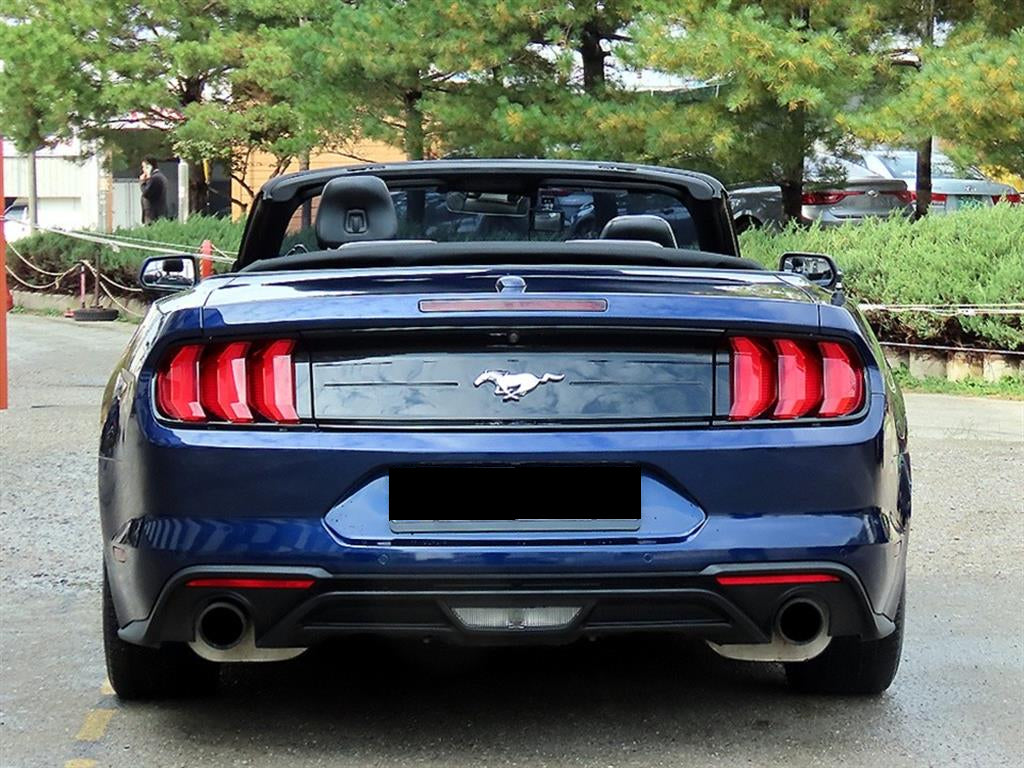 Ford Mustang — photo 08