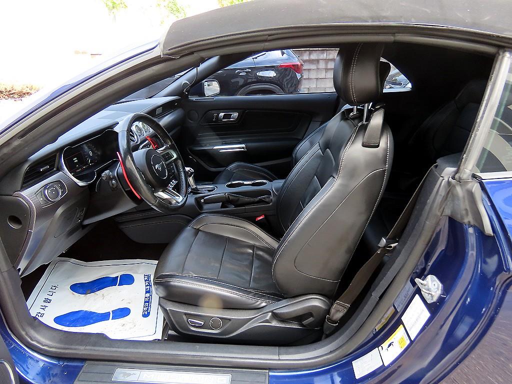 Ford Mustang — photo 09