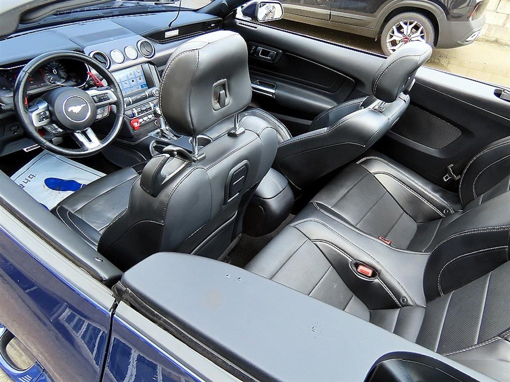Ford Mustang — photo 11