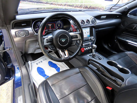 Ford Mustang — photo 12