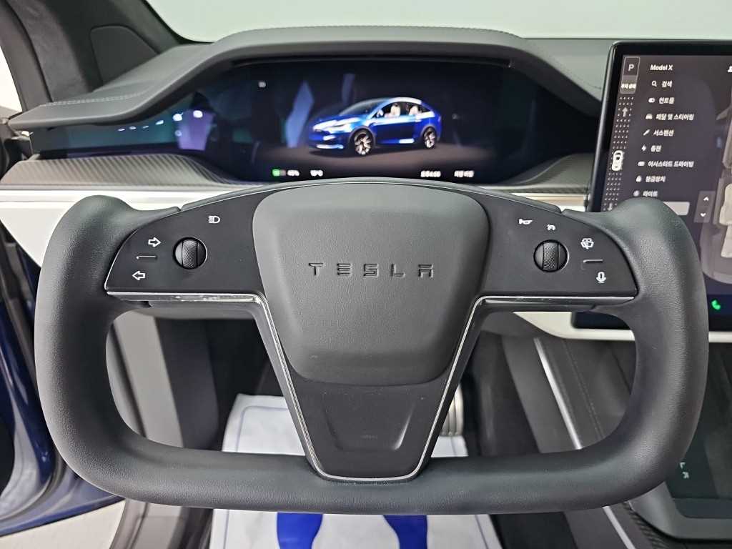 Tesla Model X — photo 09
