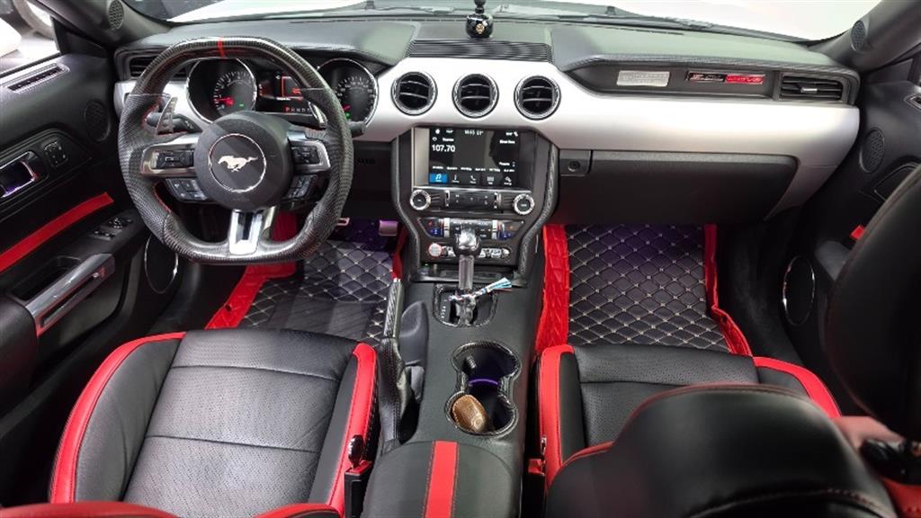 Ford Mustang — photo 07