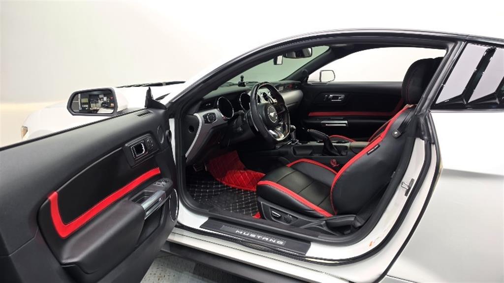 Ford Mustang — photo 10