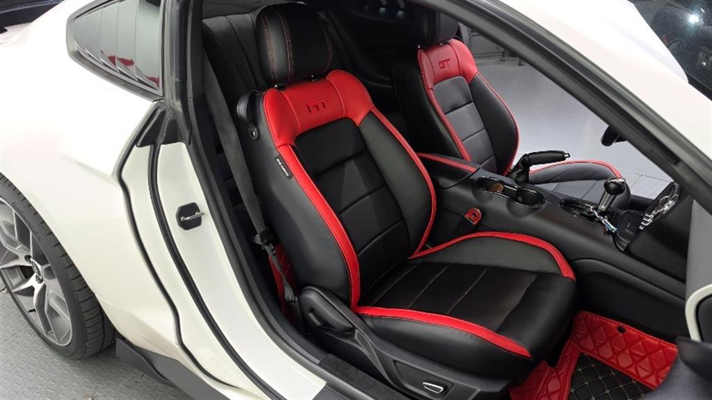 Ford Mustang — photo 12